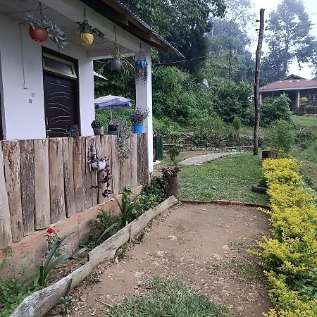 Little Cub Homestay Kalimpong Zewnętrze zdjęcie